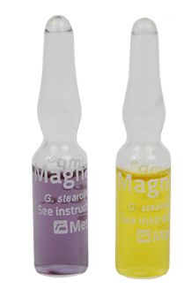 Magna Amp biological indicators